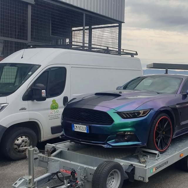 Markovic S.A.R.L Markovic S.A.R.L